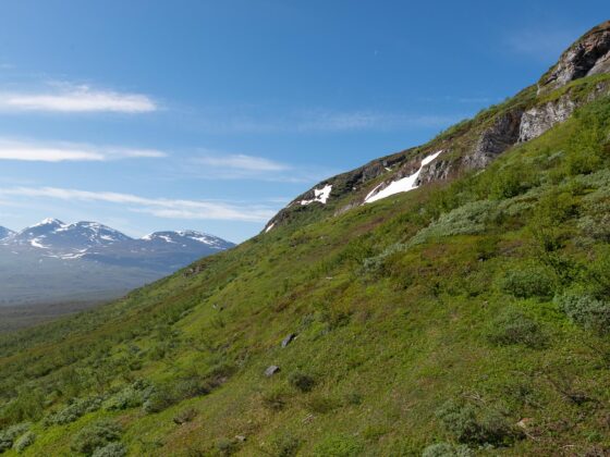 Sommarlandskap i Abisko