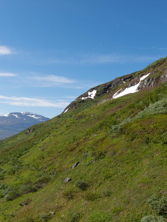 Sommarlandskap i Abisko