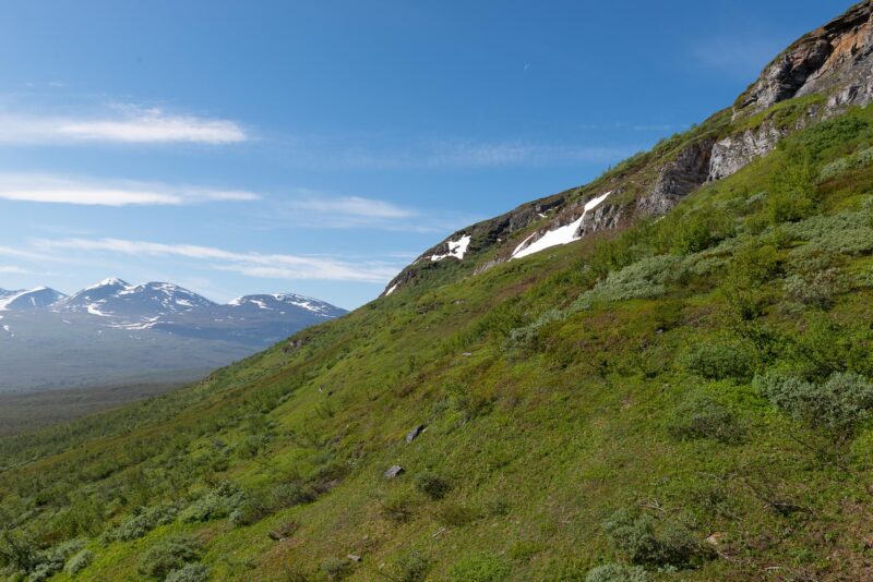 Sommarlandskap i Abisko