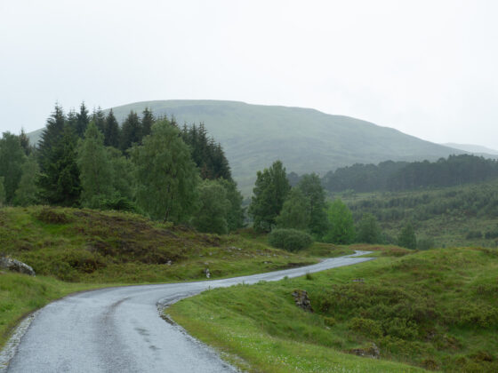 Grönt lanskap i Skottland